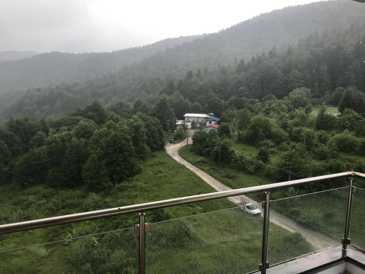 Mountain Residence Сіная Екстер'єр фото